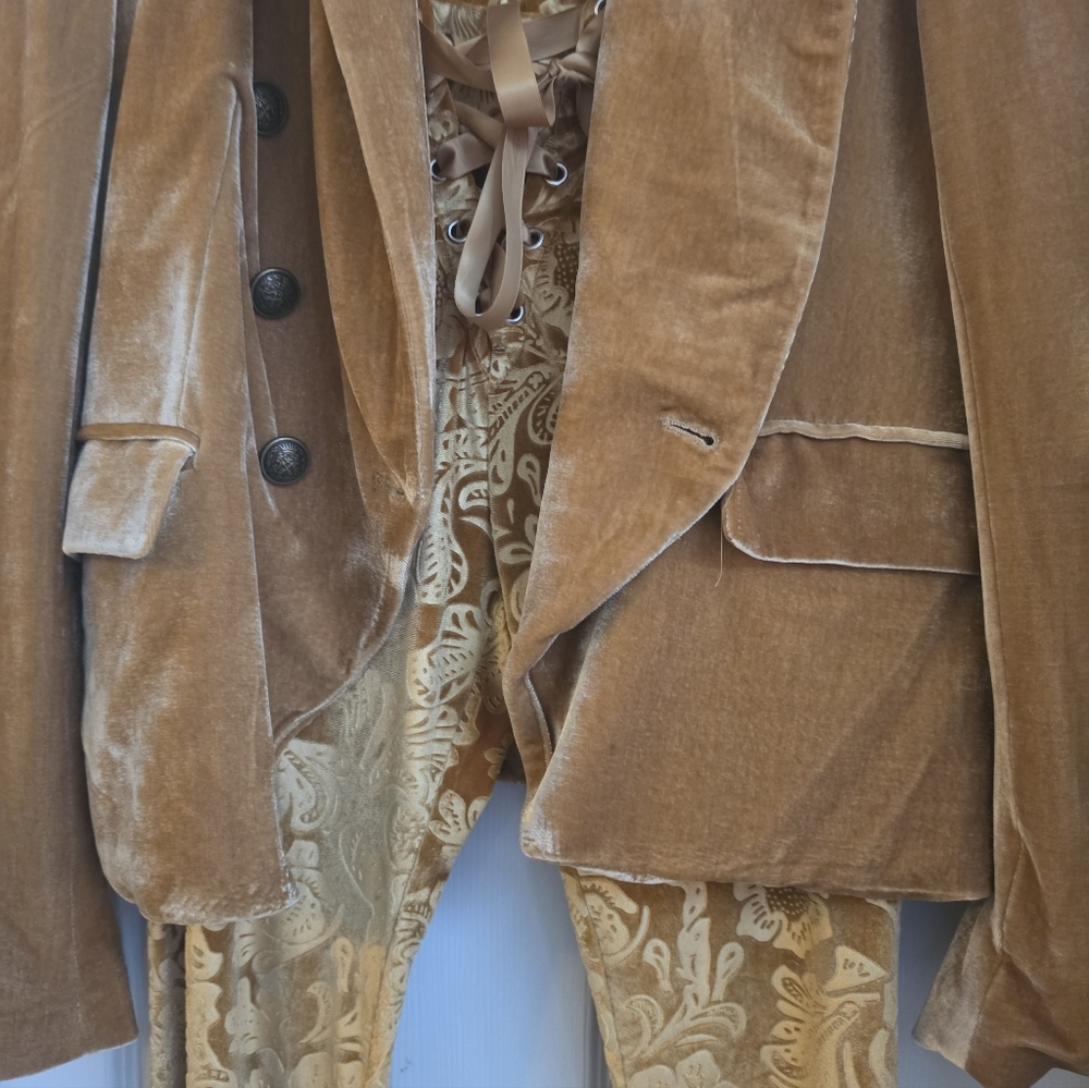 Rachel Zoe Velvet Blazer - Picture 8 of 9